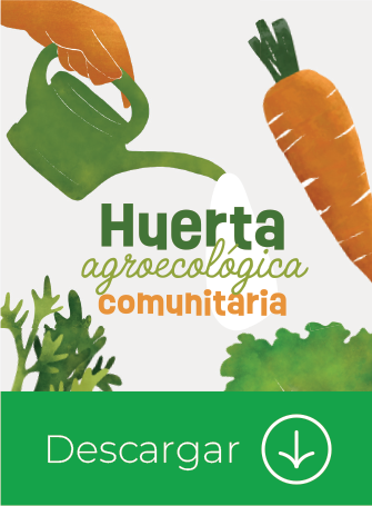 Huerta agroecológica comunitaria