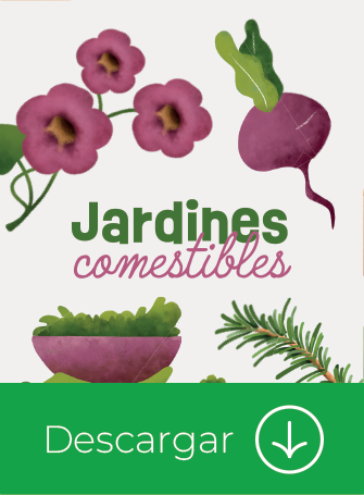 Jardines comestibles