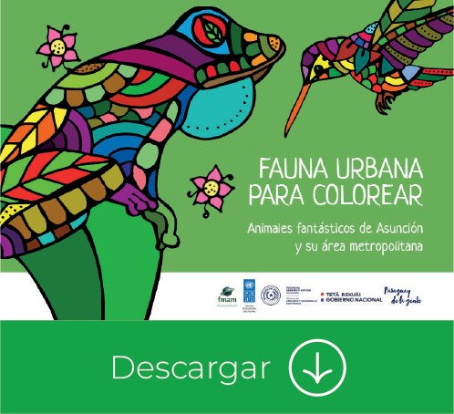 Fauna urbana para colorear
